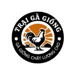 Trại gà giống Phú Xuyên