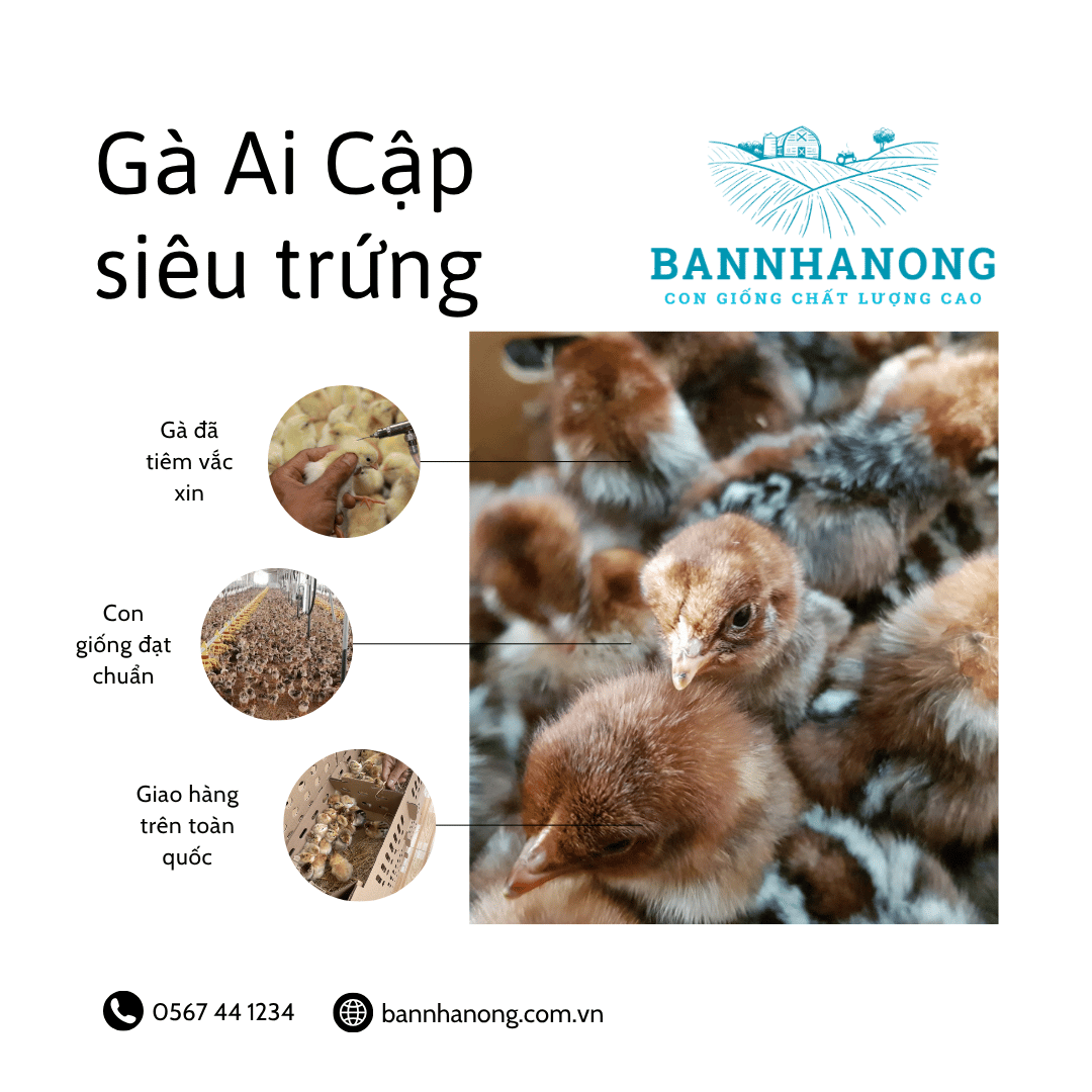 Bạn của nhà nông