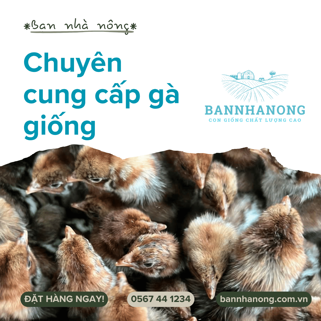 Bạn của nhà nông