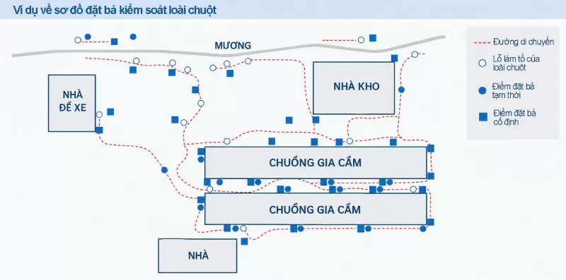 đặt bả chuột