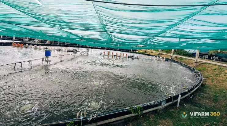 DRT thực chất là gì?