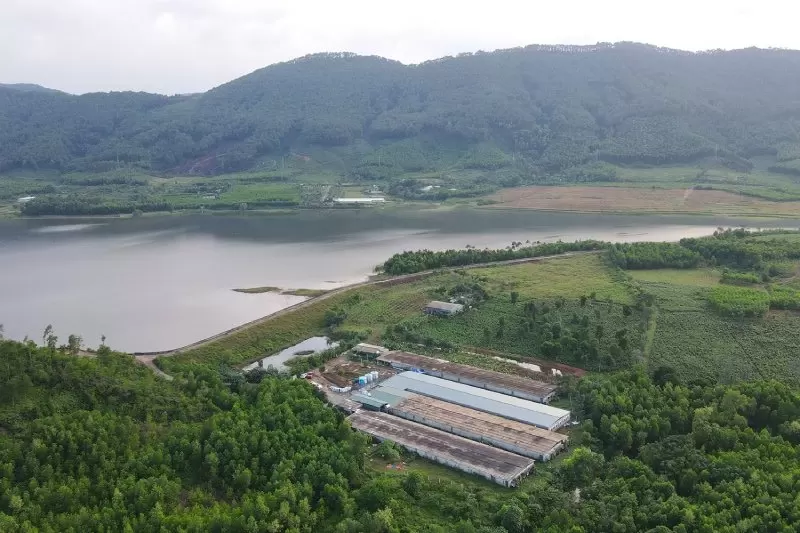trang trại nuôi gà Ai Cập